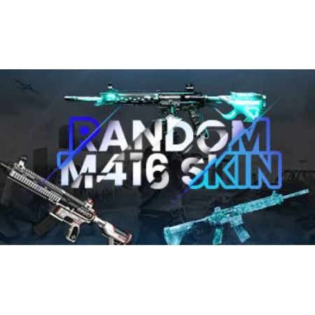Pubg Random m416 Skin